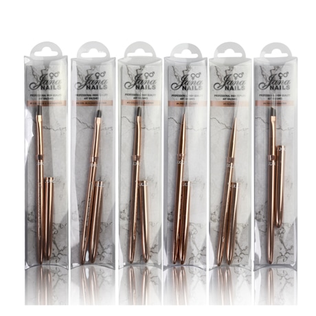 Set Of 6 Psc Rose Gold Master Series Edition Brushes